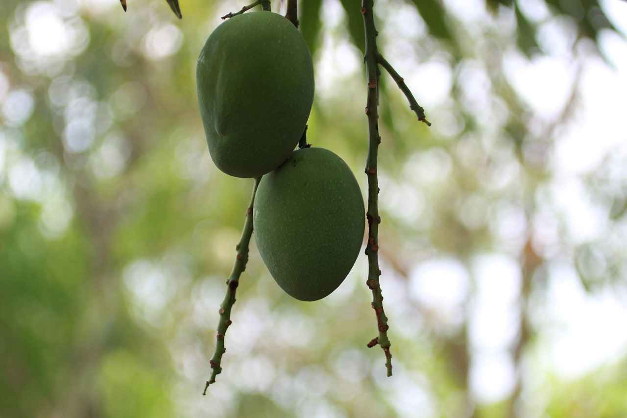 Exploring the Fascinating World of Kimono Sleeve Designs 1 What Are Kimono Sleeves?