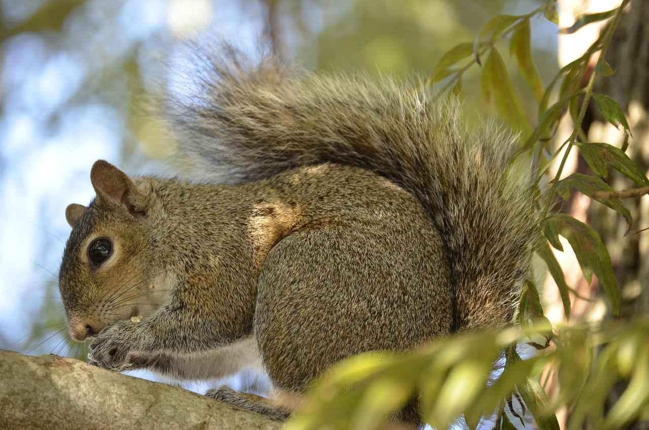 How to Create the Perfect Silk Kimono Robe 1 Understanding Silk Fabric