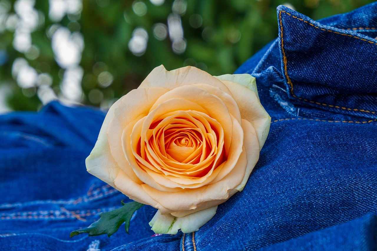 How to Wear a Kimono Jacket with Confidence 3 Finding Your Perfect Fit