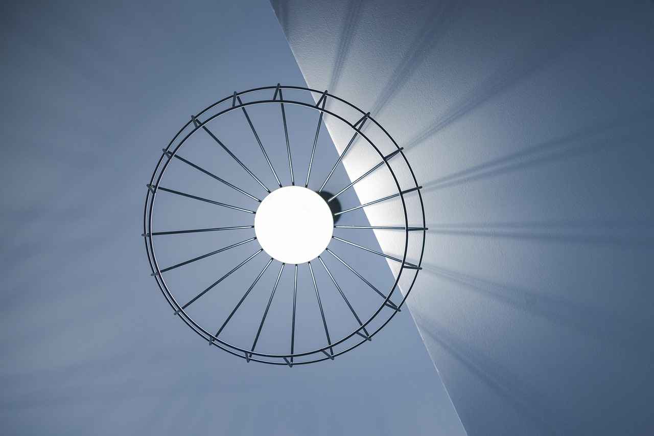 Understanding the Kimono Dragon