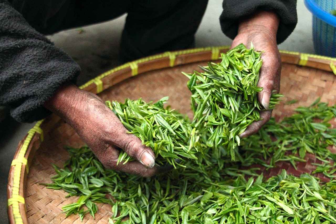 Sweet Treats: A Complement to Tea