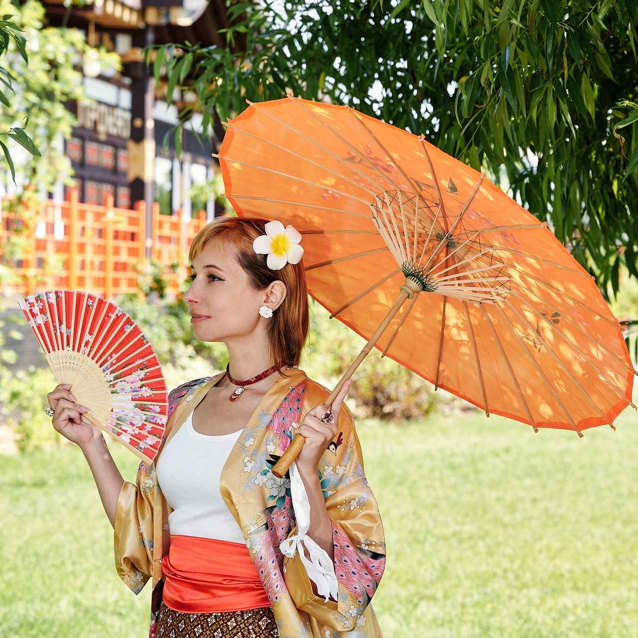 Understanding the Kimono