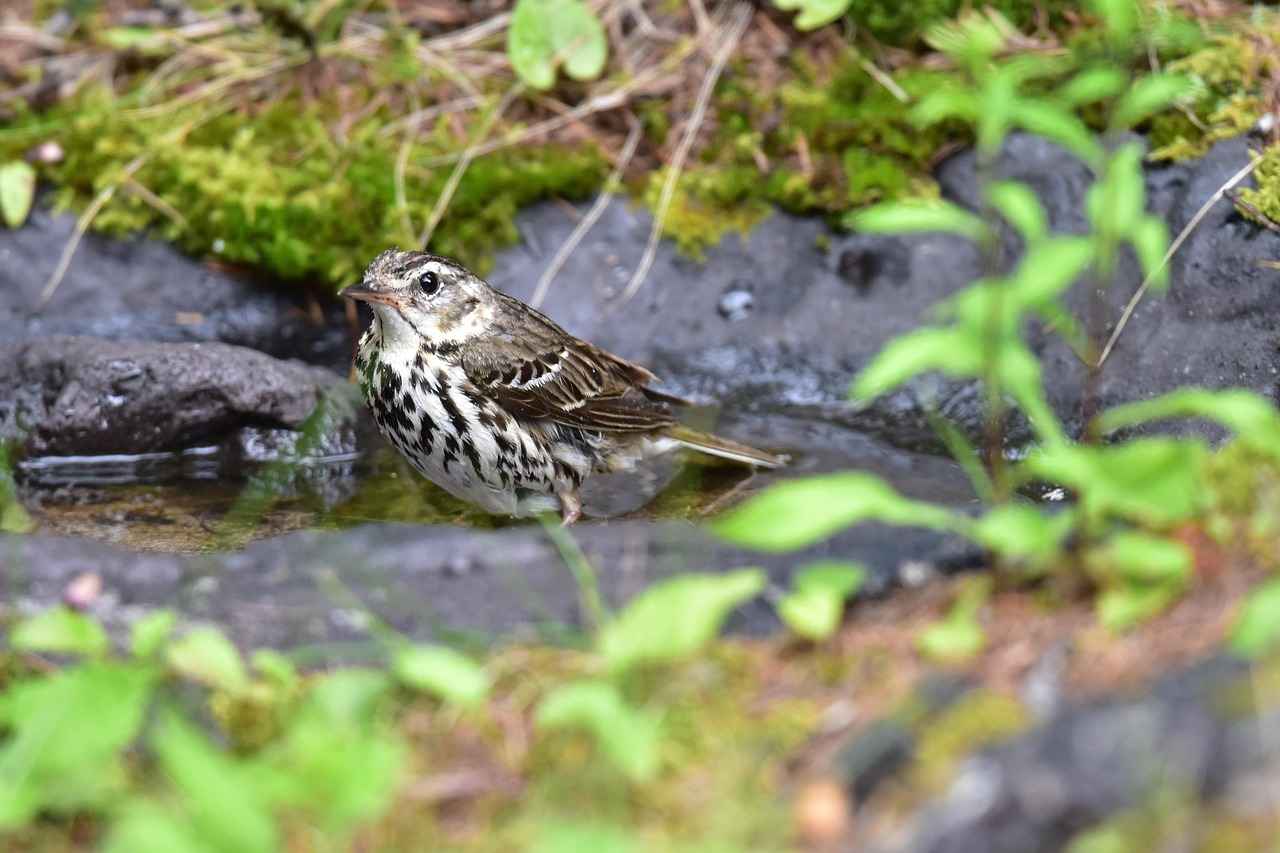 Styling Tips for Different Occasions