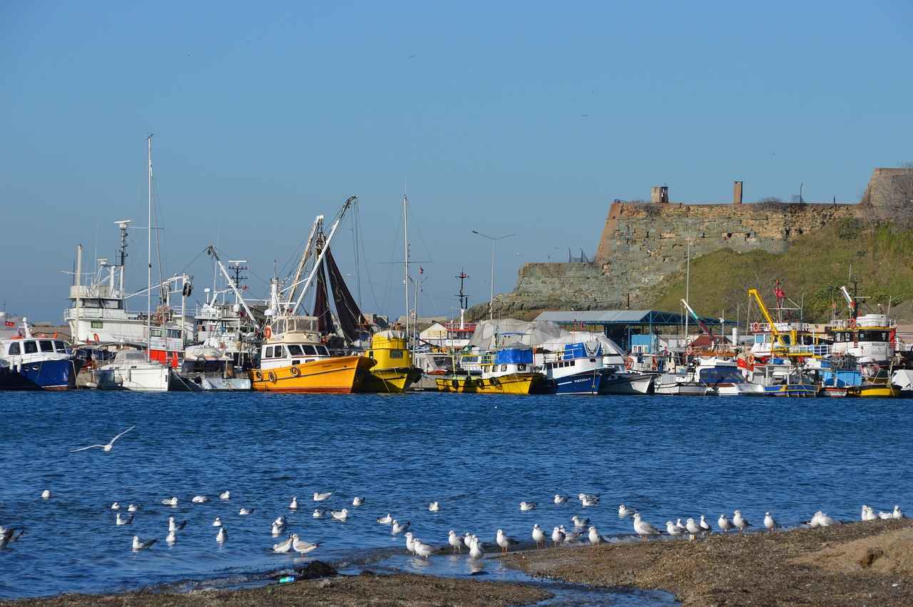 Styling Tips for Plus Size Kimonos