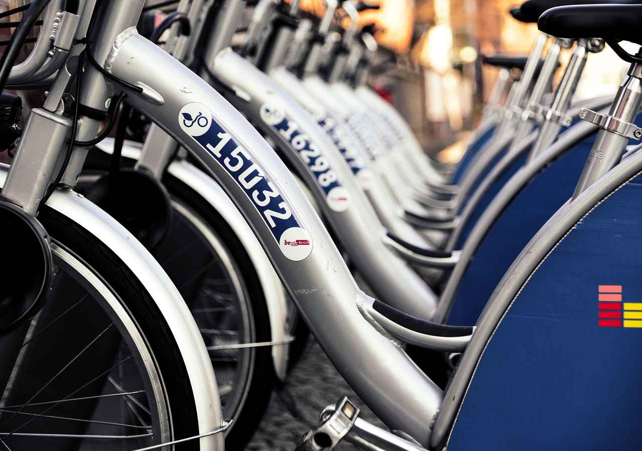 What to Expect During Your Rental Experience