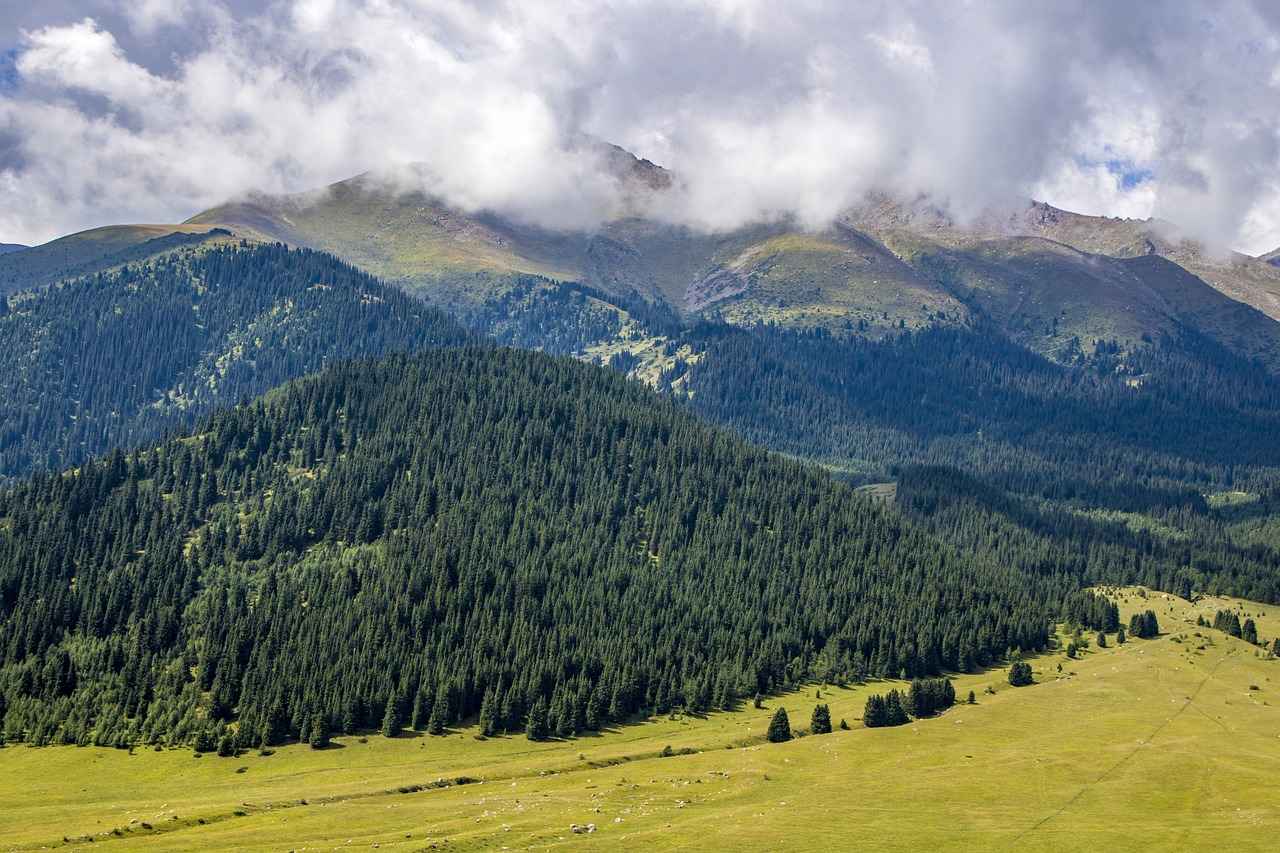 Why a Green Kimono is the Perfect Addition to Your Closet 2 2. Choosing the Right Shade of Green