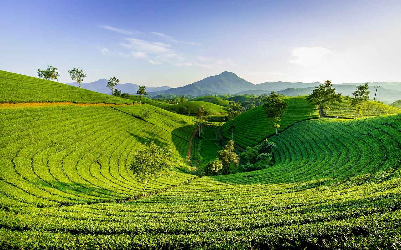 Conclusion: Embracing Tradition in Modern Times