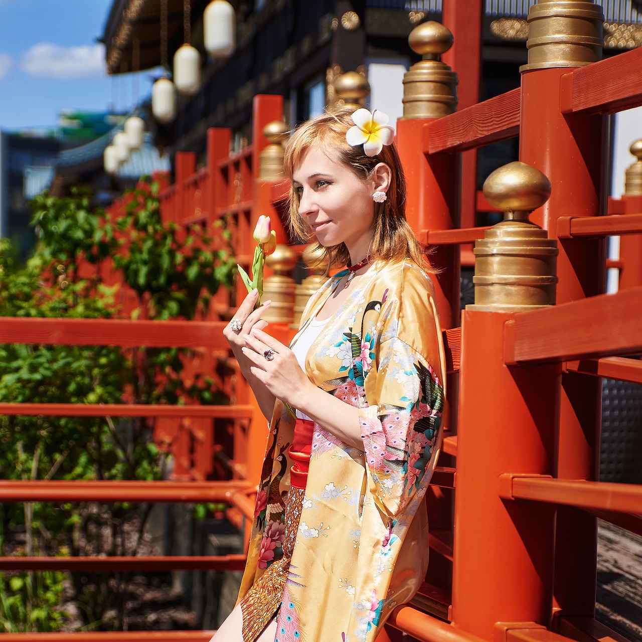 Understanding the Kimono
