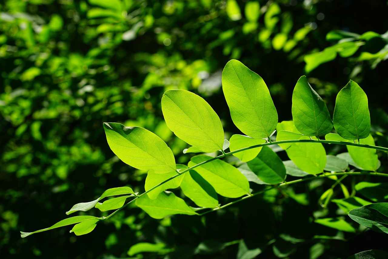 3. Styling Tips for Your Green Kimono