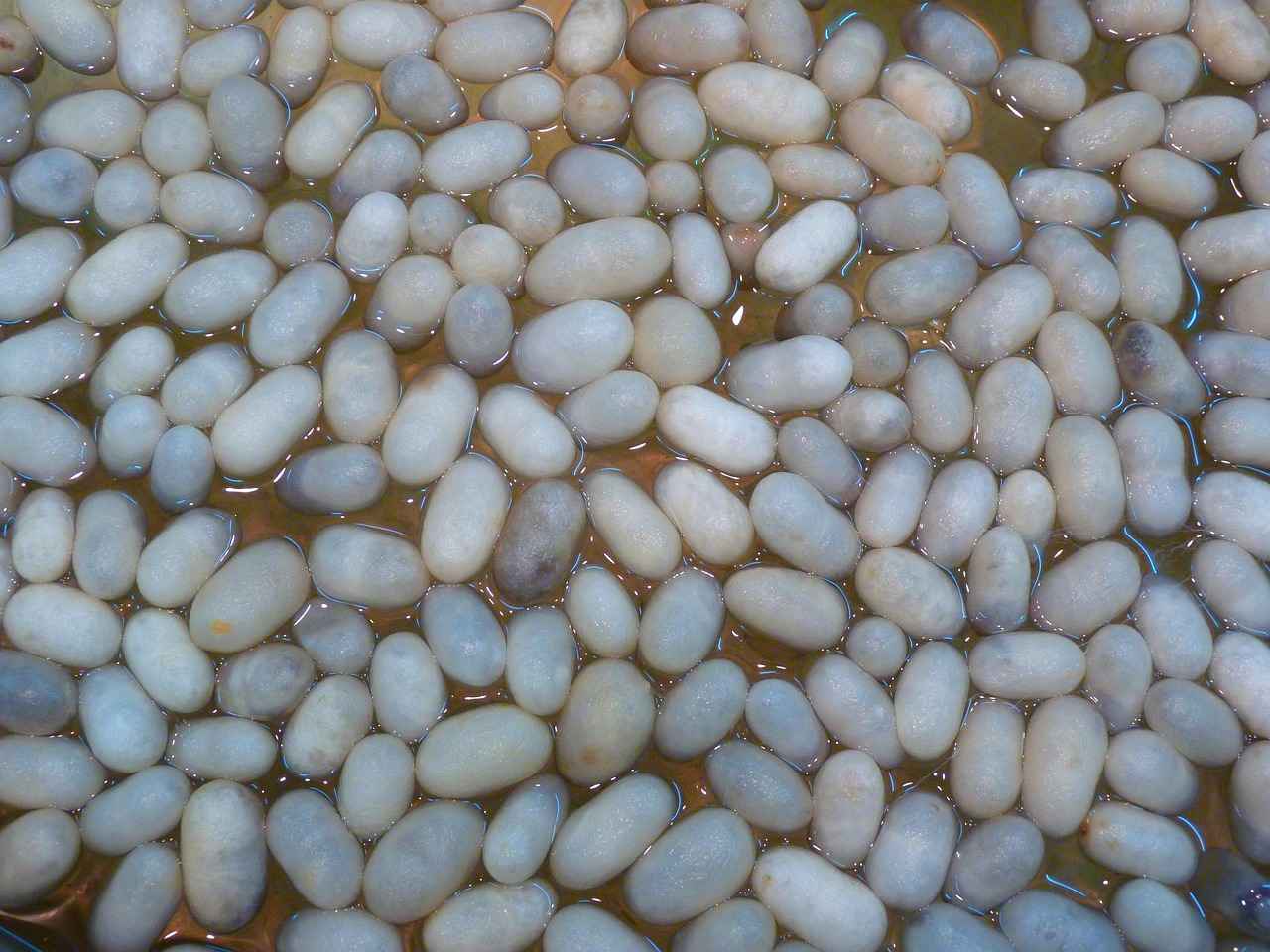 The Art of Silk Production